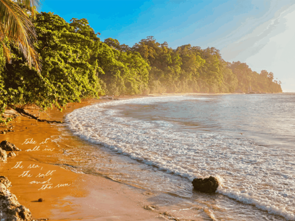 Best Time to Visit Port Blair